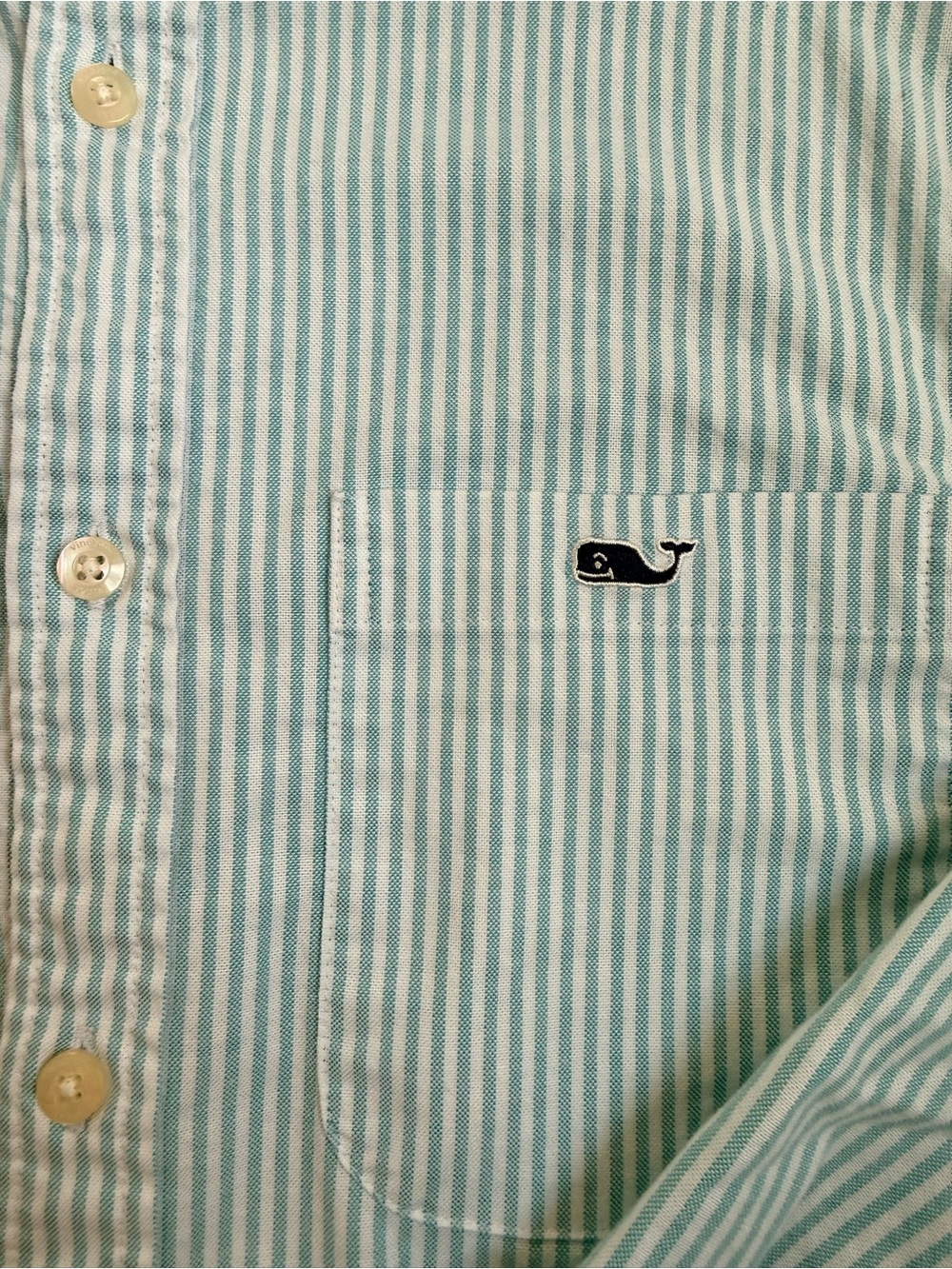 Vineyard Vines Mint and White Striped Button-Down Shirt